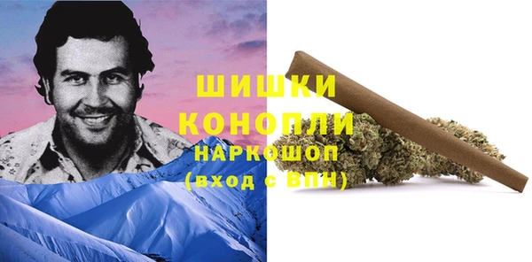 спиды Козловка