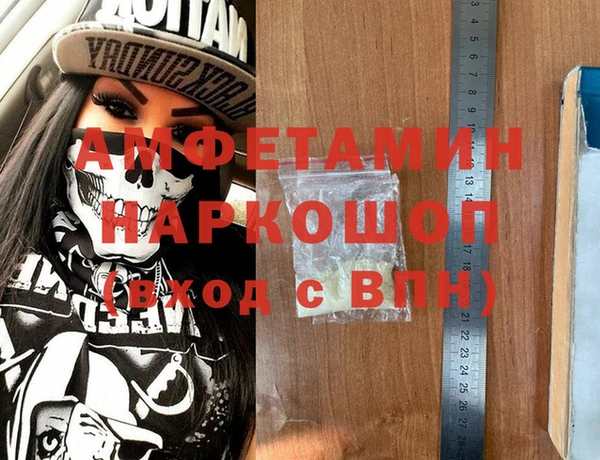 прущие грибы Новодвинск