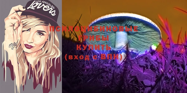 спиды Козловка