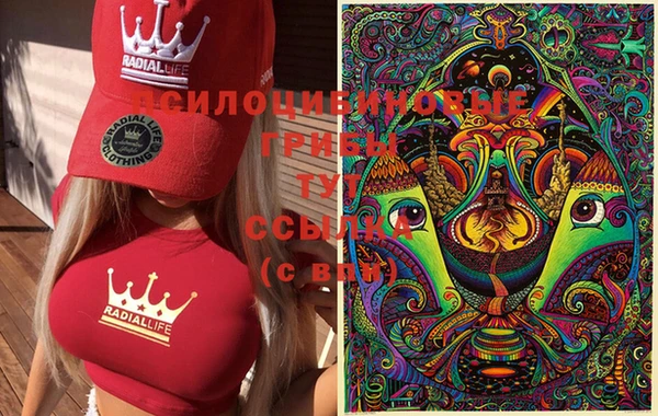 ешки Кодинск