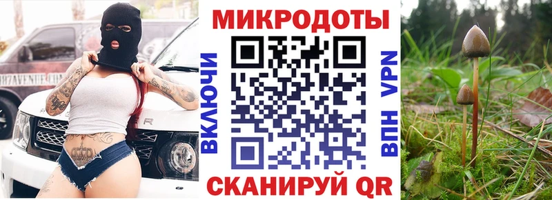 Псилоцибиновые грибы GOLDEN TEACHER Качканар