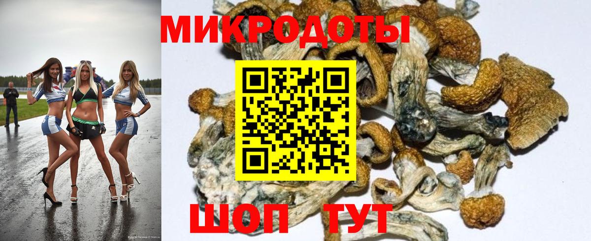 Галлюциногенные грибы Magic Shrooms Качканар
