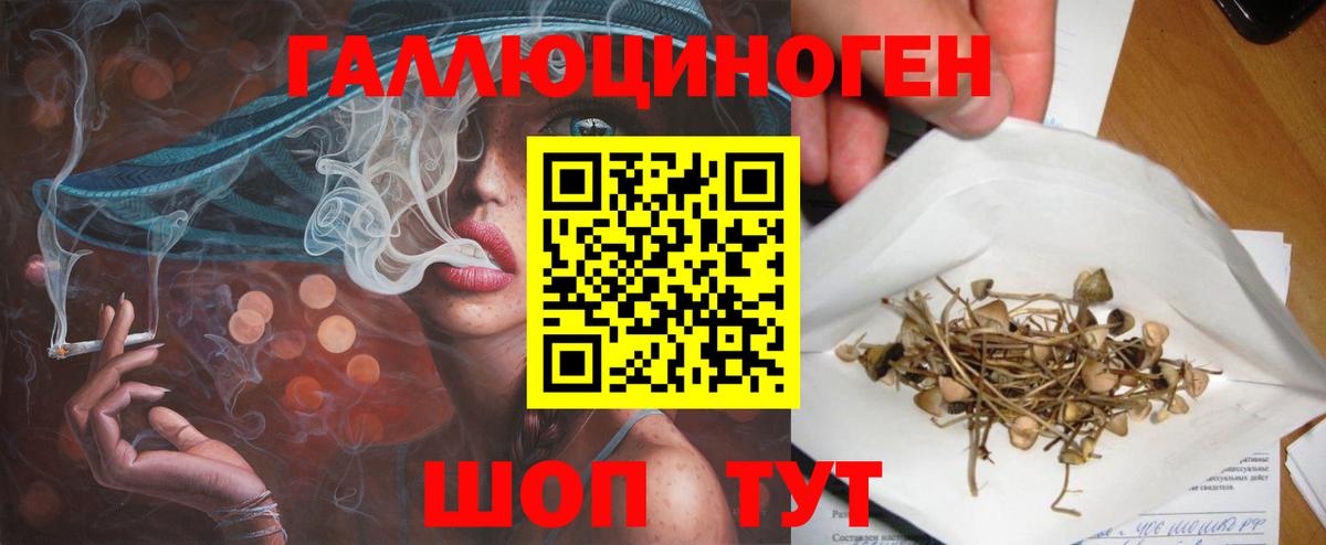 Галлюциногенные грибы Cubensis  Вход с VPN  где купить   Псилоцибиновые грибы MAGIC MUSHROOMS  Качканар 